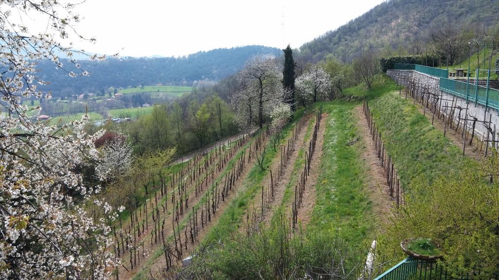 Agriturismo Il Mirabile Bed and Breakfast Trescore Balneario Buitenkant foto
