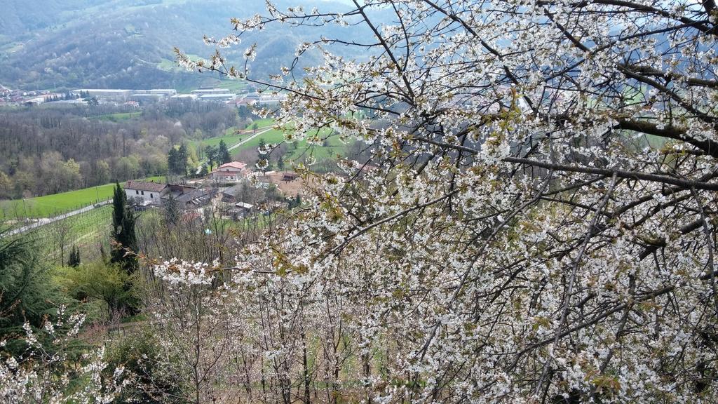 Agriturismo Il Mirabile Bed and Breakfast Trescore Balneario Buitenkant foto